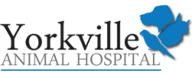 Yorkville Animal Hospital-HeaderLogo